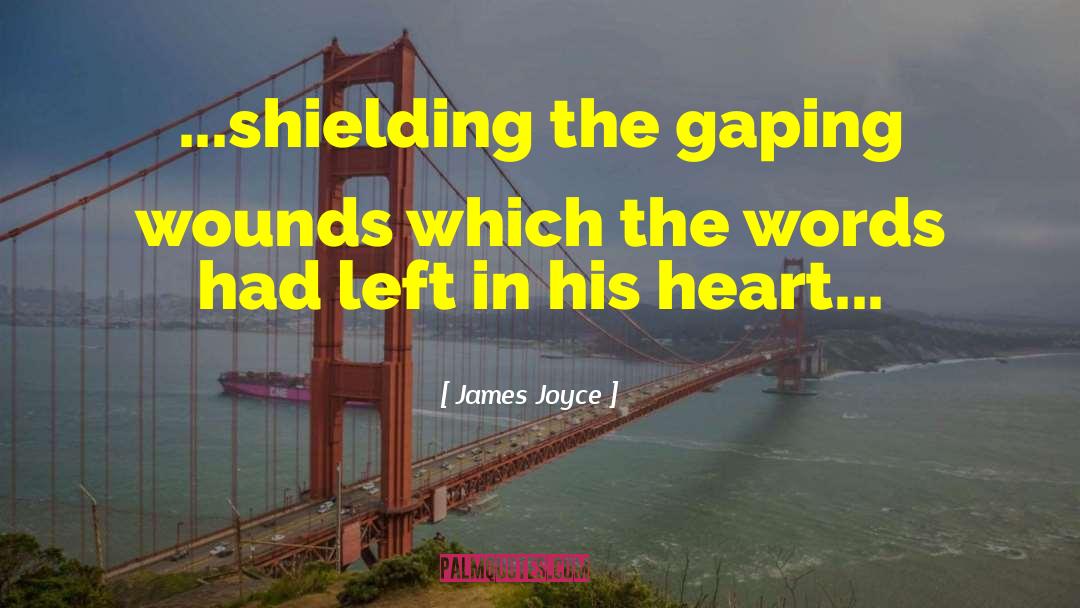 Shielding quotes by James Joyce
