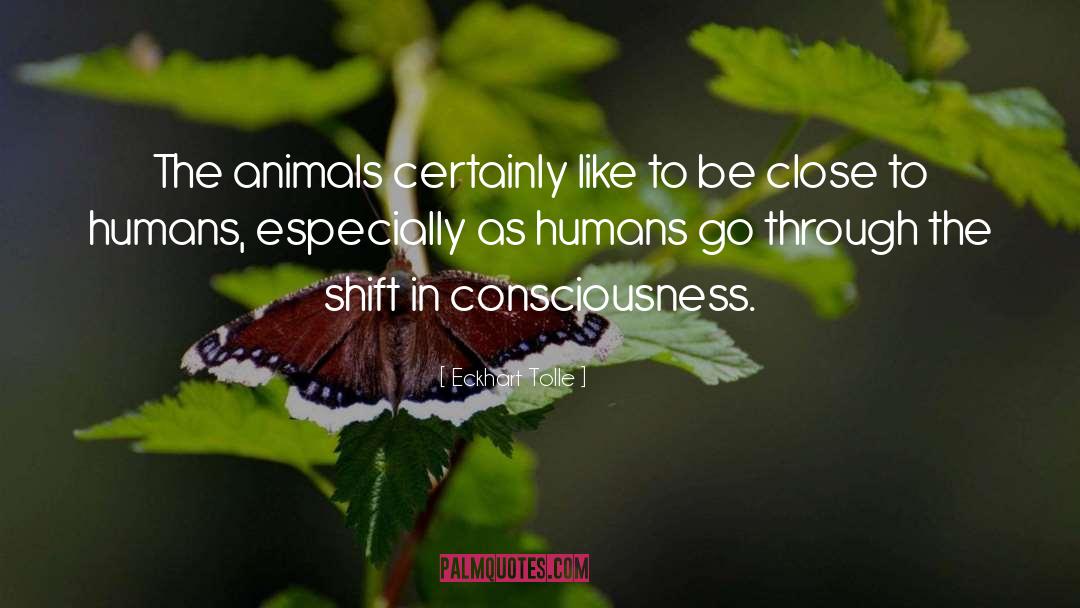 Shift In Consciousness quotes by Eckhart Tolle