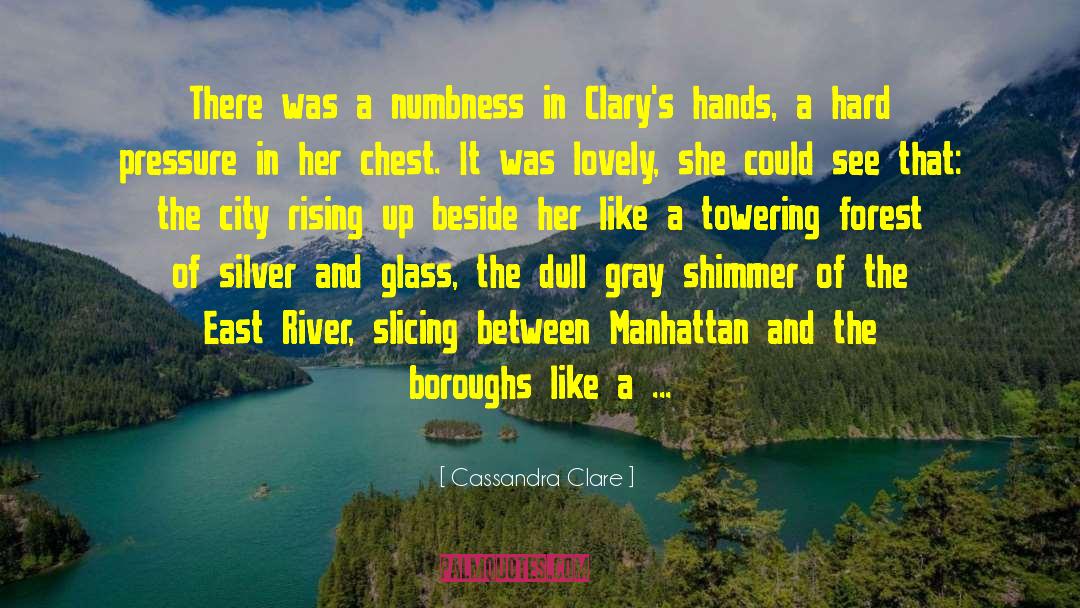 Shimmer quotes by Cassandra Clare