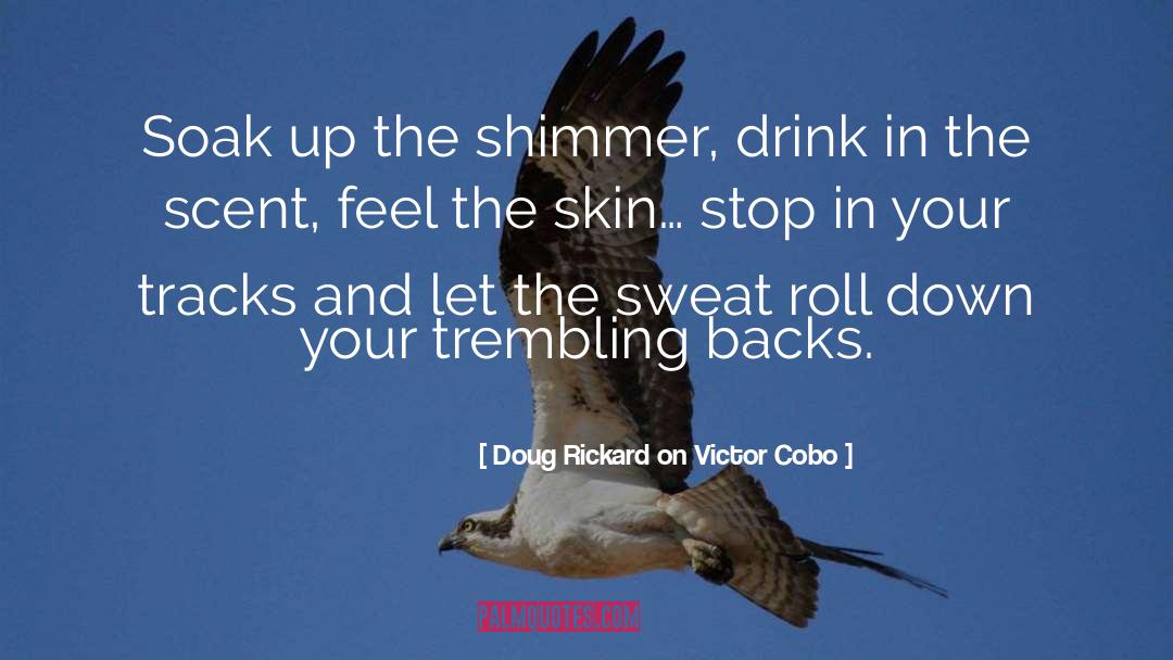 Shimmer quotes by Doug Rickard On Victor Cobo