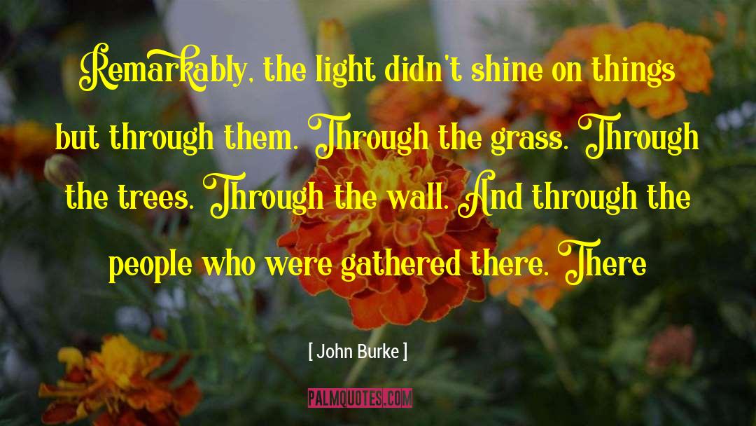 Shine On quotes by John Burke