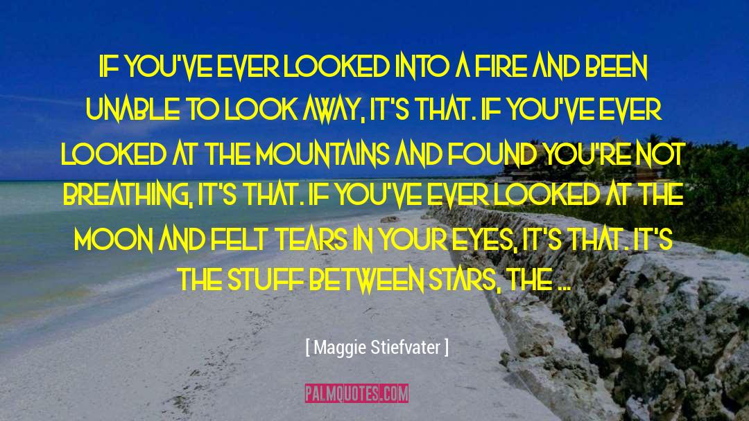 Shine Your Stars quotes by Maggie Stiefvater