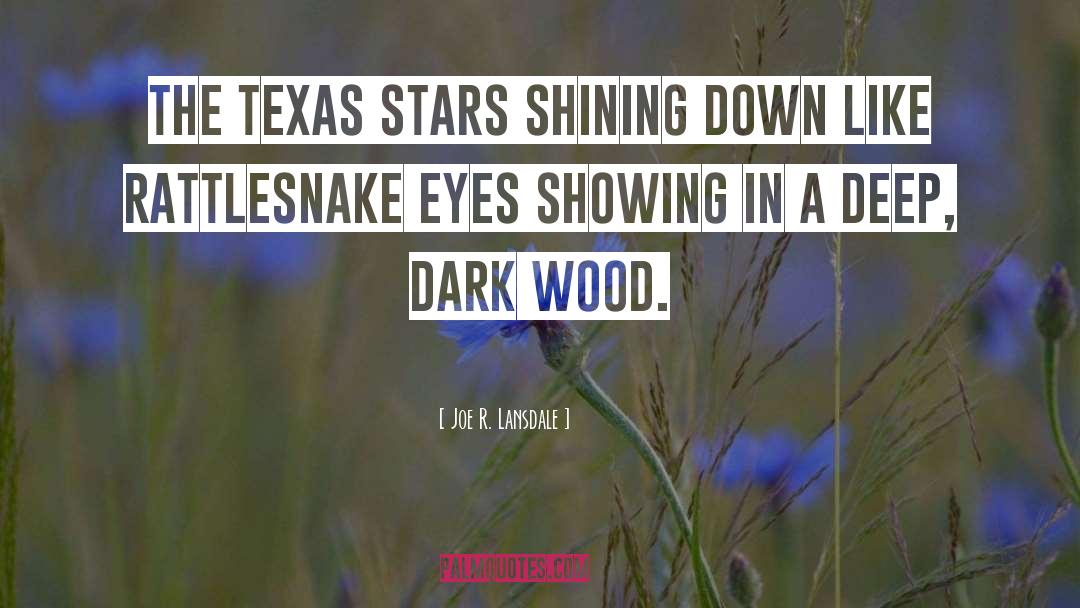 Shining Down quotes by Joe R. Lansdale