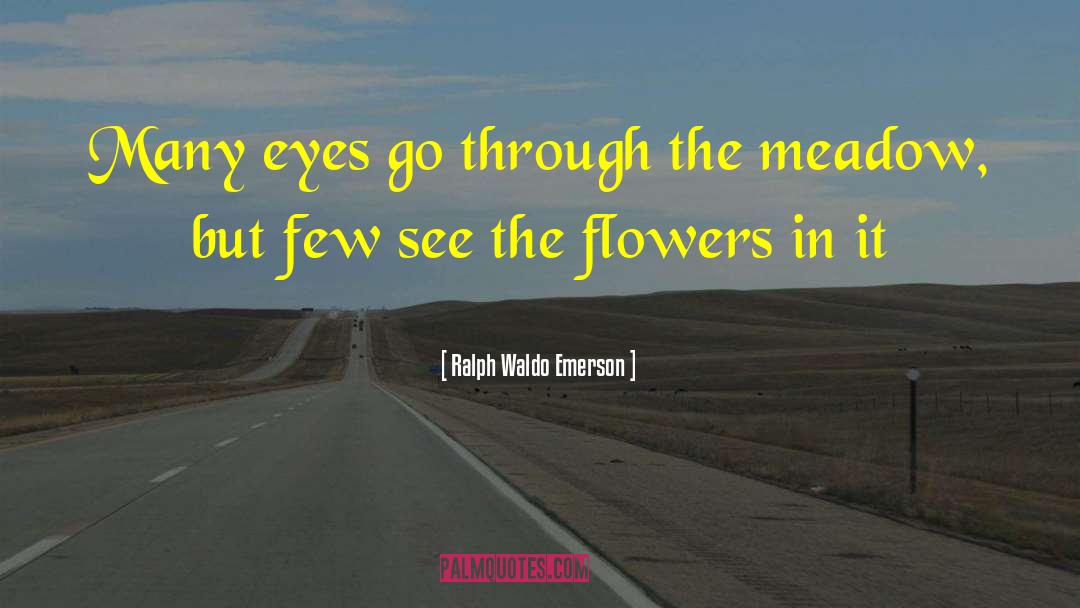 Shining Eyes quotes by Ralph Waldo Emerson