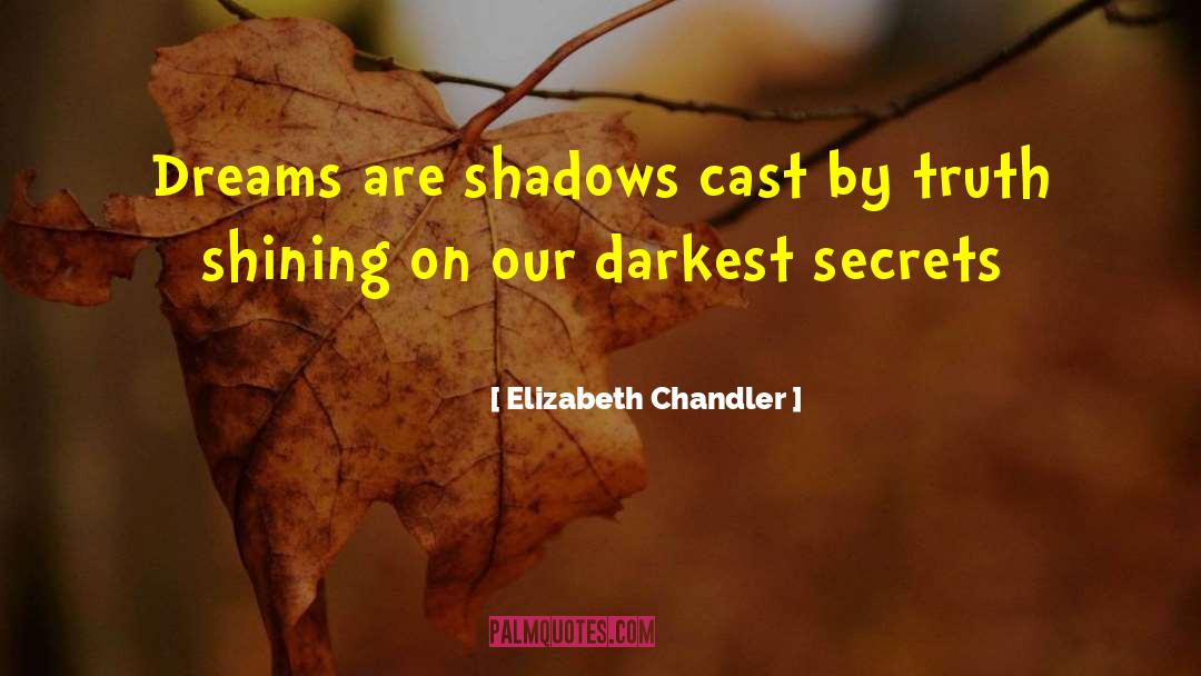 Shining Gem quotes by Elizabeth Chandler