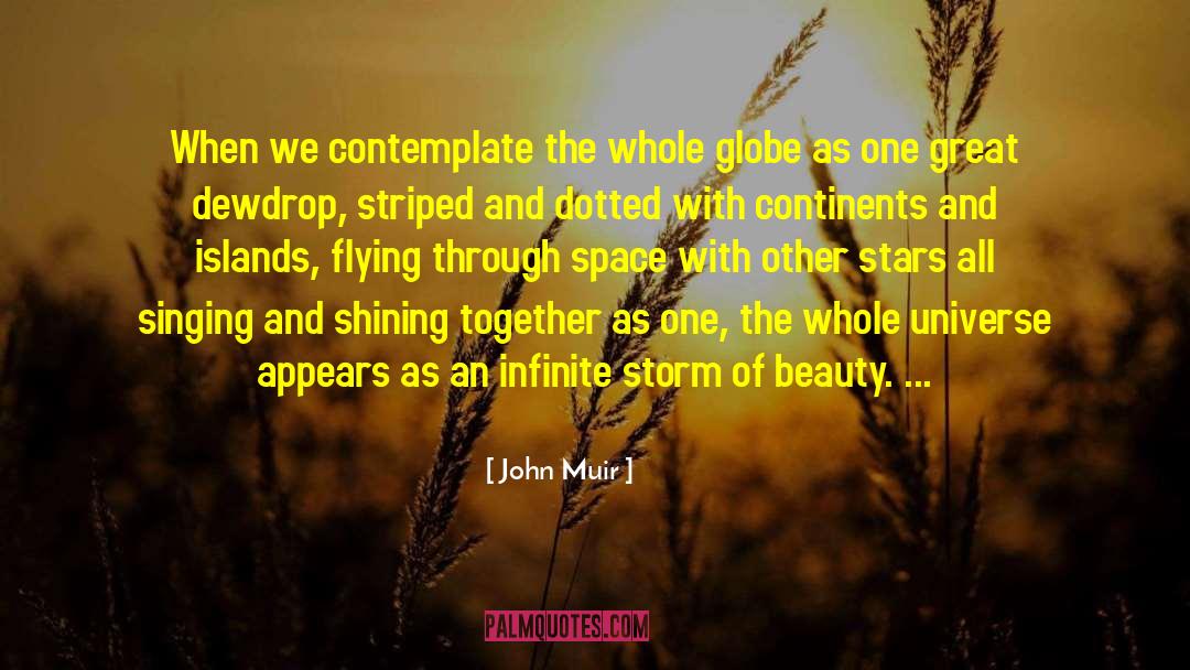 Shining Gem quotes by John Muir