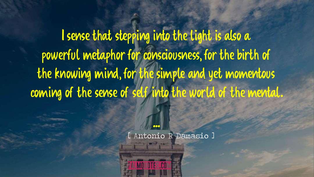 Shining Light quotes by Antonio R Damasio