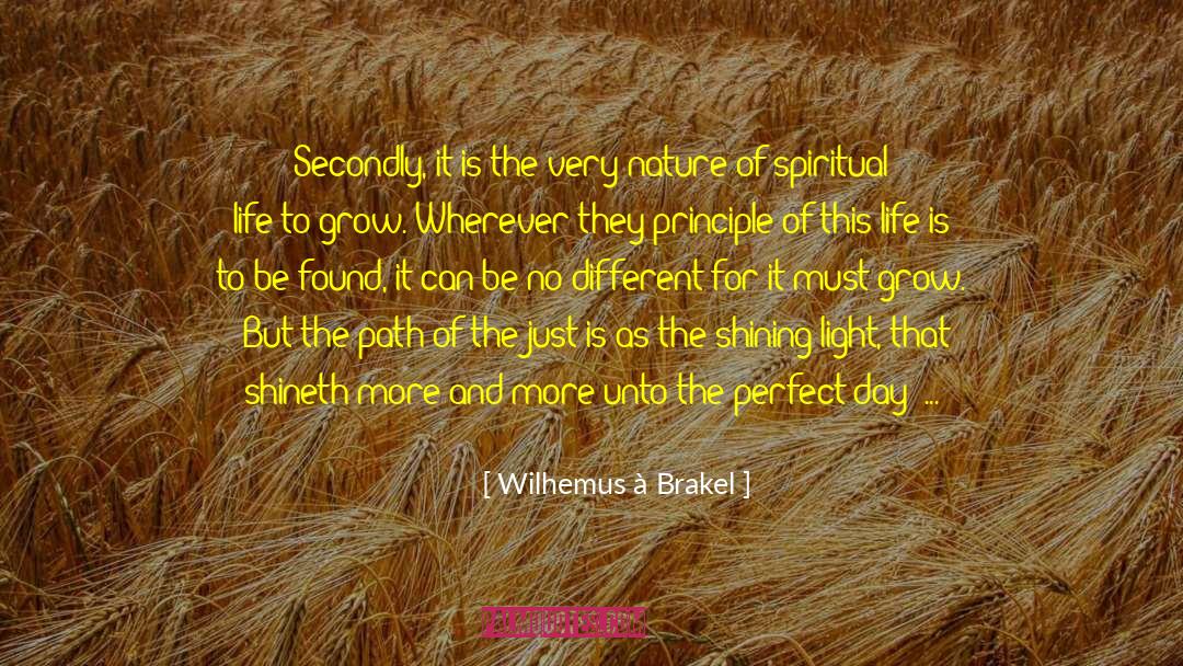 Shining Light quotes by Wilhemus à Brakel