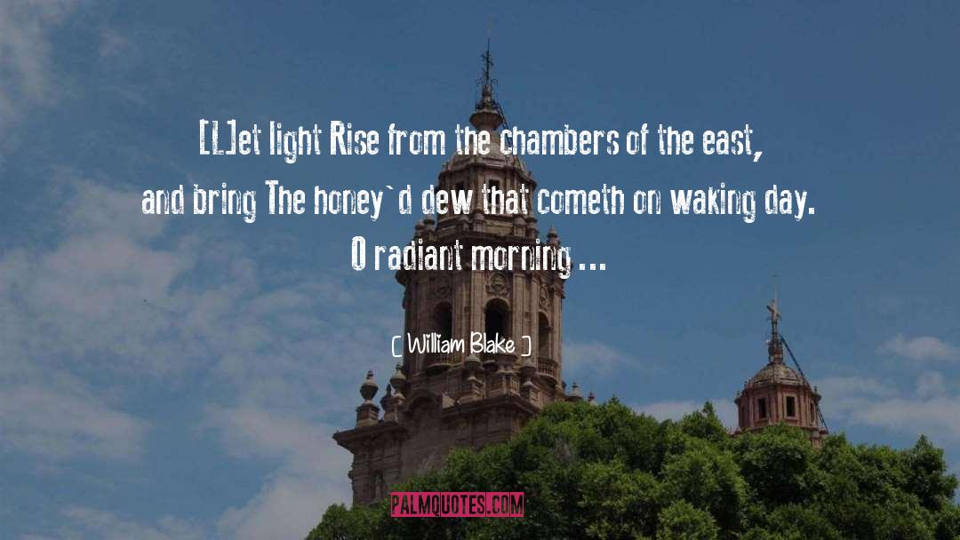 Shining Light quotes by William Blake