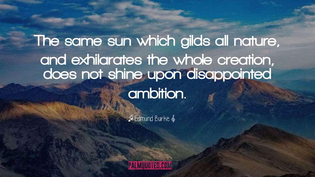 Shining Within quotes by Edmund Burke