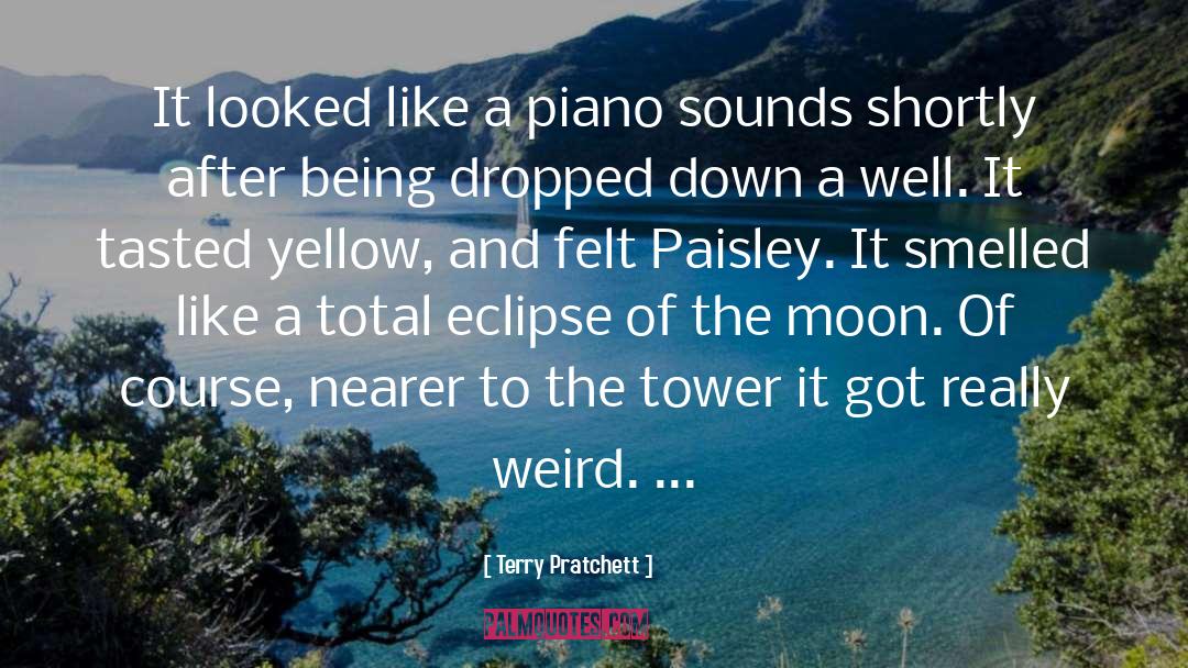 Shinji Moon quotes by Terry Pratchett