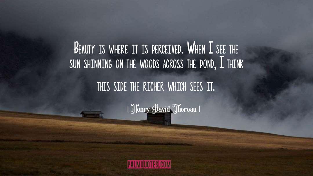 Shinning quotes by Henry David Thoreau