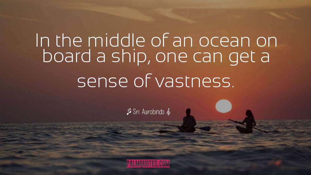 Ship It quotes by Sri Aurobindo