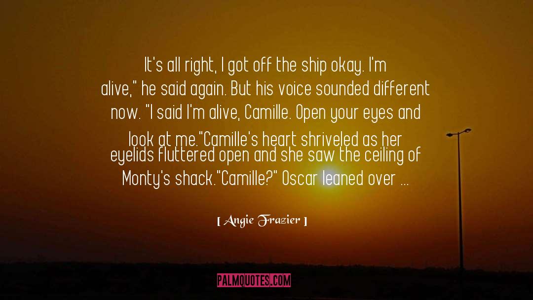 Ship Of Theseus quotes by Angie Frazier