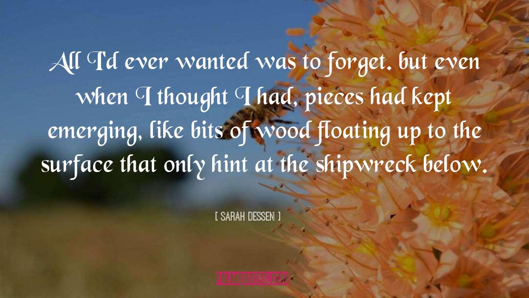 Shipwreck quotes by Sarah Dessen