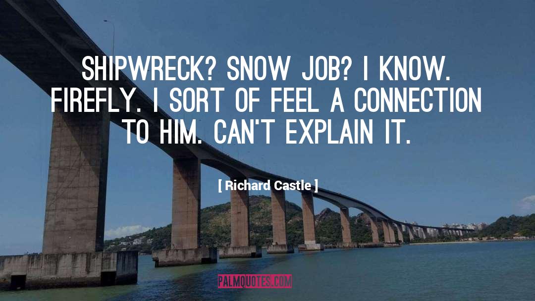 Shipwreck quotes by Richard Castle