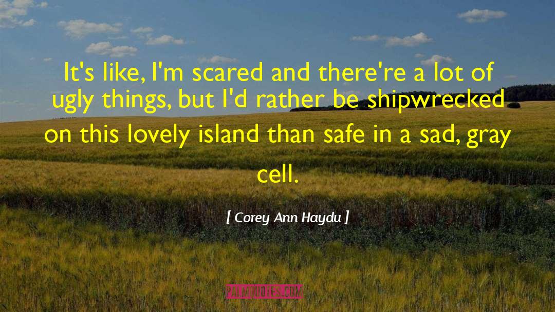 Shipwrecked quotes by Corey Ann Haydu