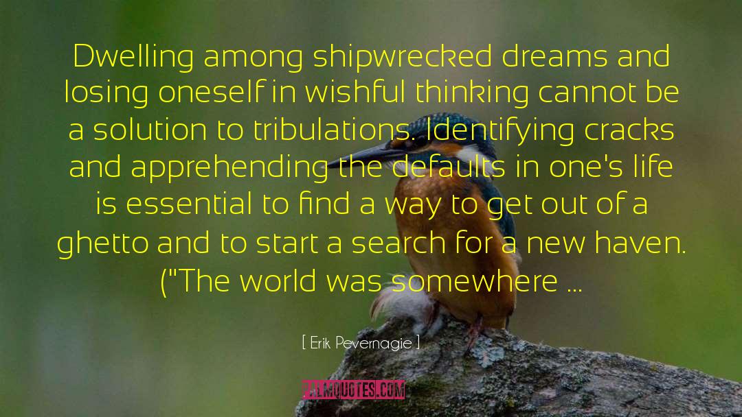 Shipwrecked quotes by Erik Pevernagie