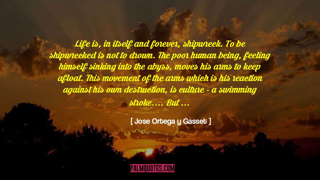 Shipwrecked quotes by Jose Ortega Y Gasset