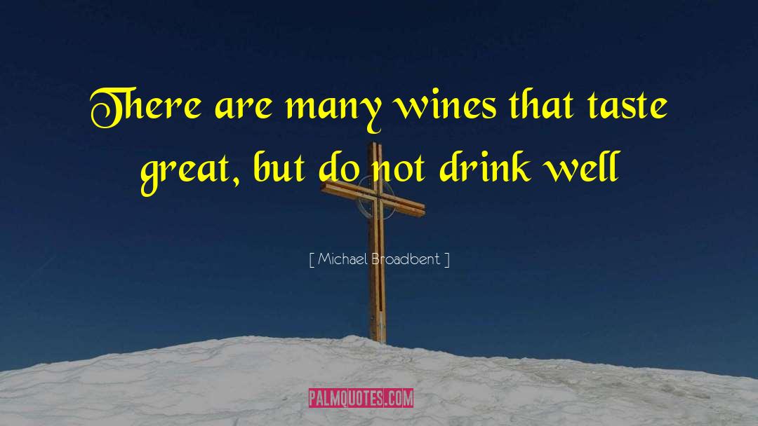 Shiraz Wines quotes by Michael Broadbent