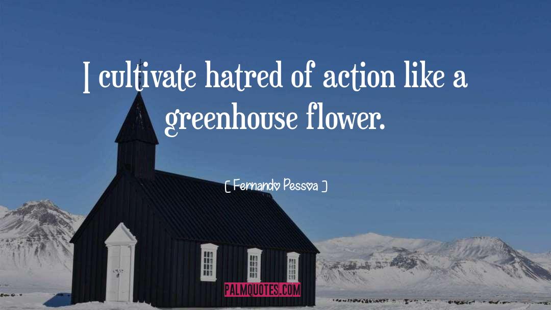 Shirks Greenhouse quotes by Fernando Pessoa