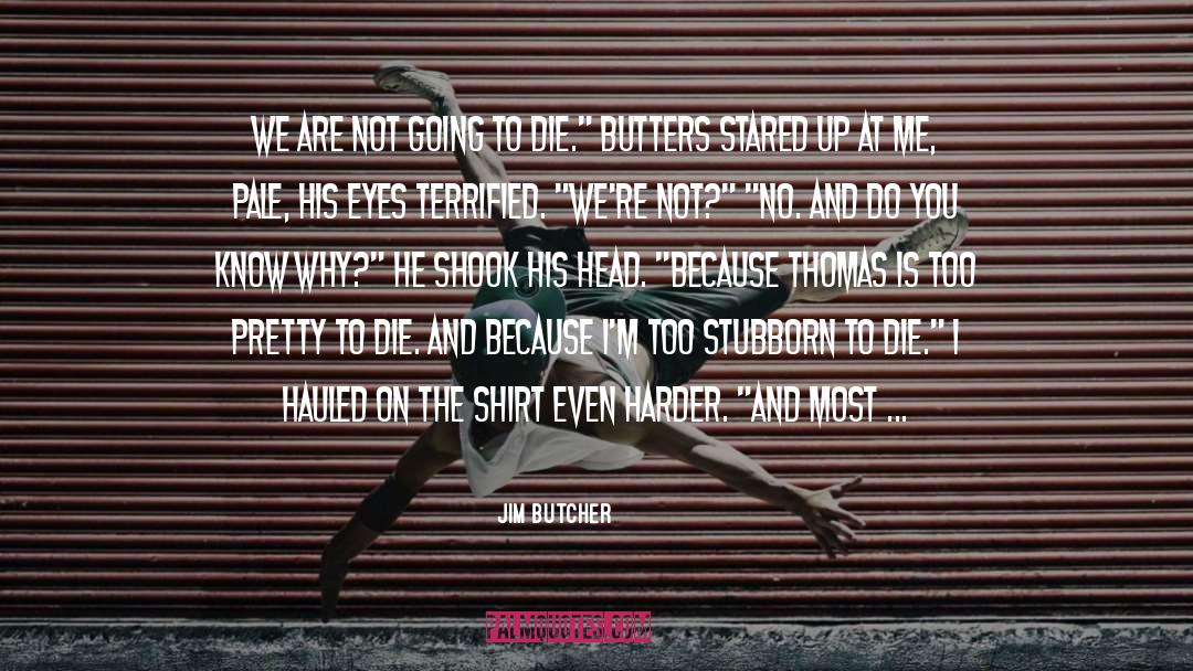 Shirt Off quotes by Jim Butcher