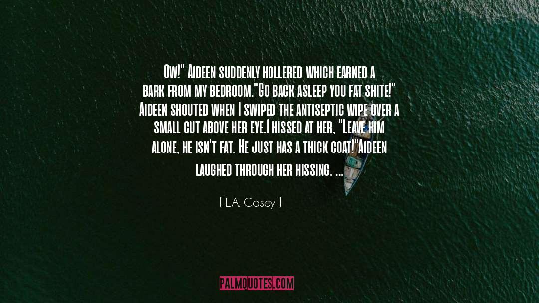 Shite quotes by L.A. Casey