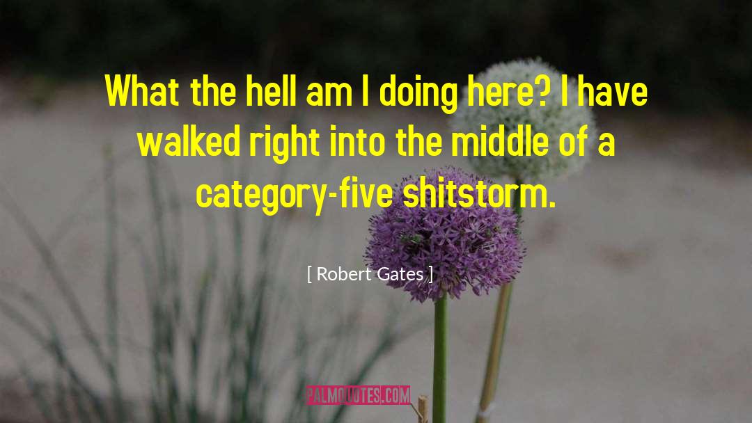 Shitstorm quotes by Robert Gates