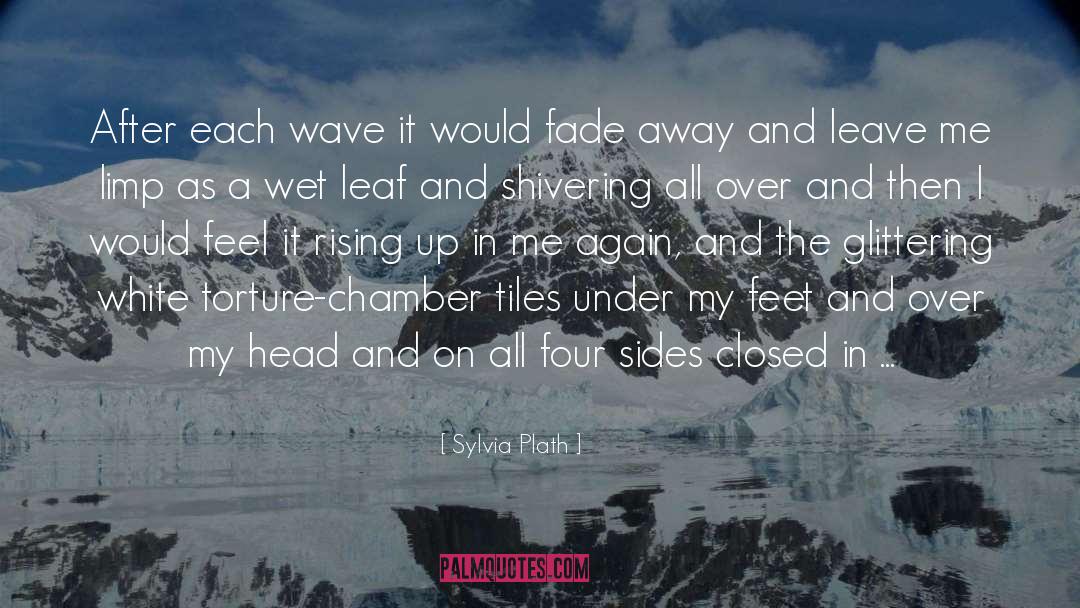 Shivering quotes by Sylvia Plath