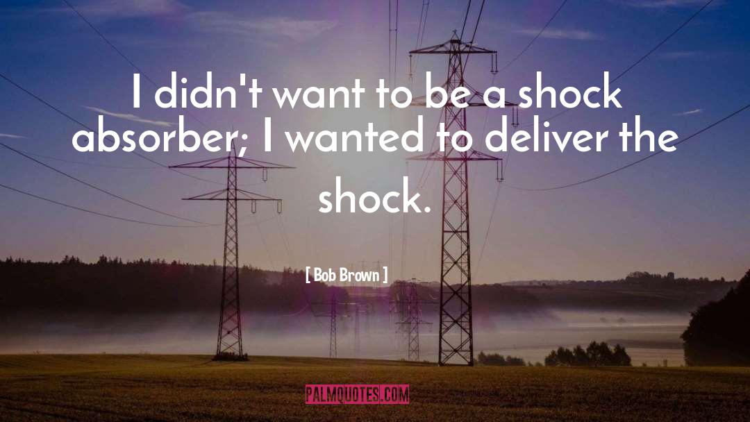 Shock Absorber quotes by Bob Brown