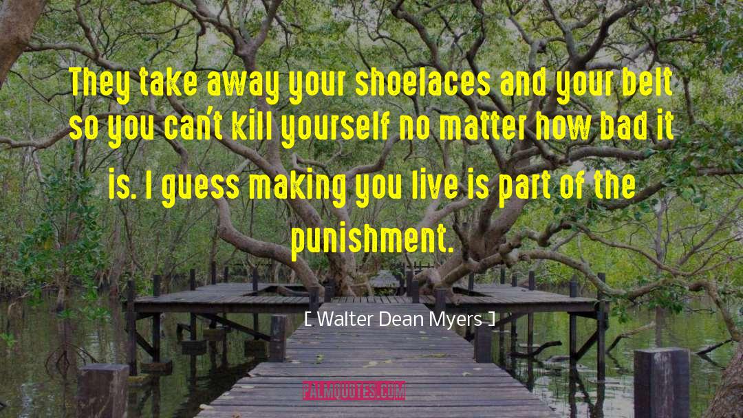 Shoelaces quotes by Walter Dean Myers
