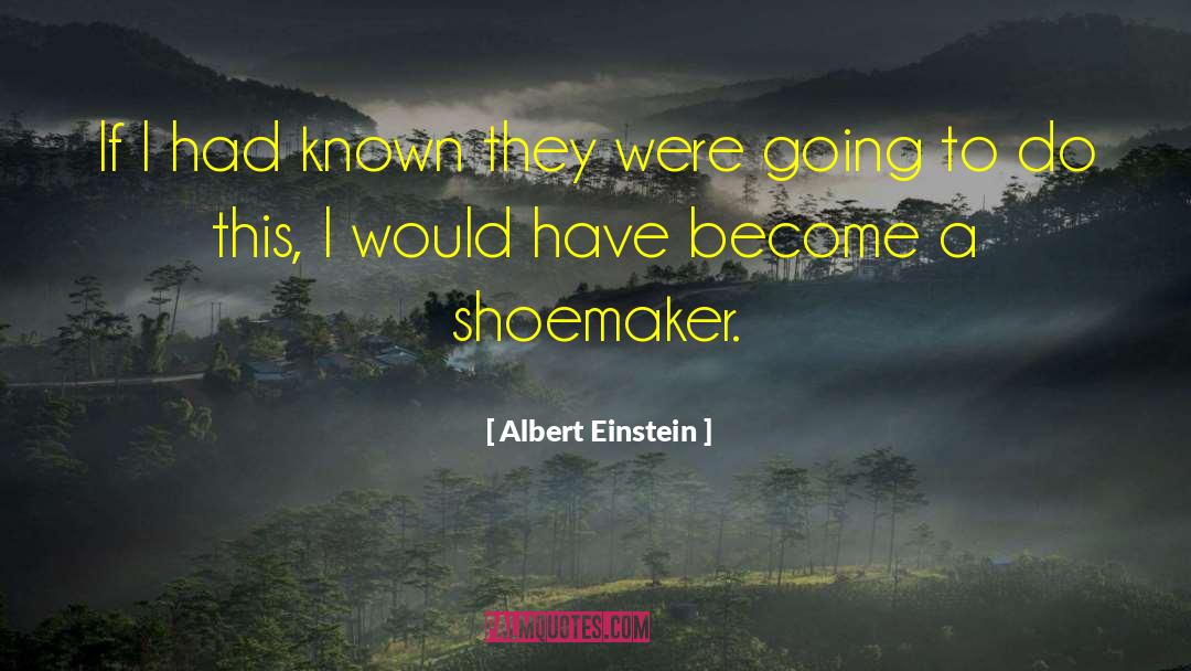Shoemaker quotes by Albert Einstein