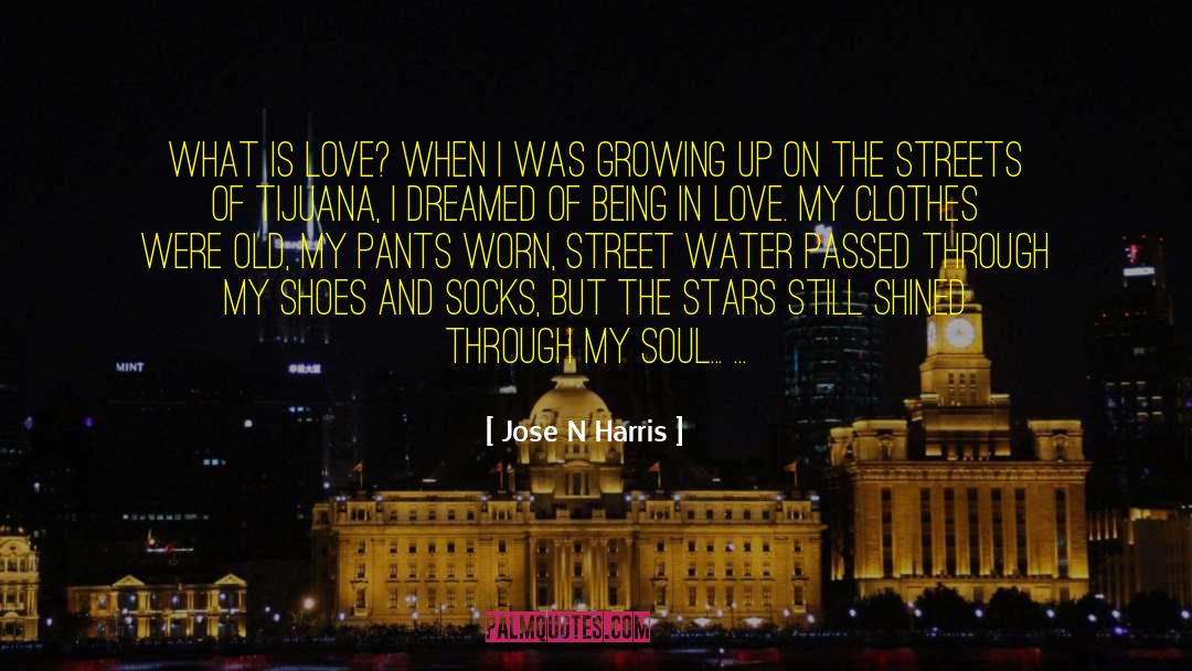 Shoes And Socks quotes by Jose N Harris