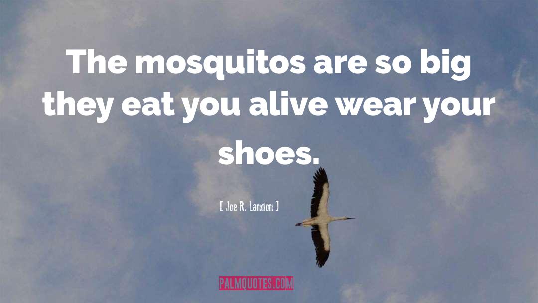 Shoes quotes by Joe R. Landon