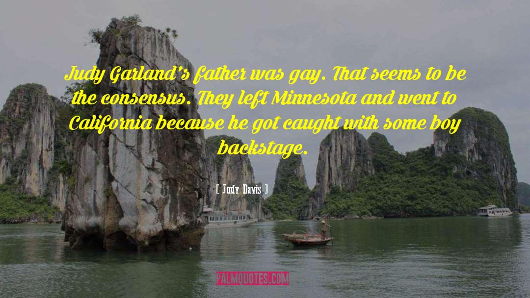 Shonie Minnesota quotes by Judy Davis