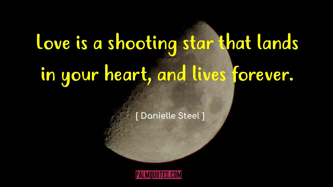 Shooting Star quotes by Danielle Steel