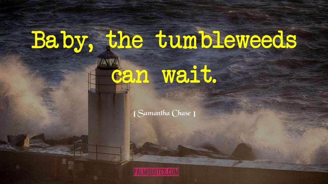 Shooting Star quotes by Samantha Chase