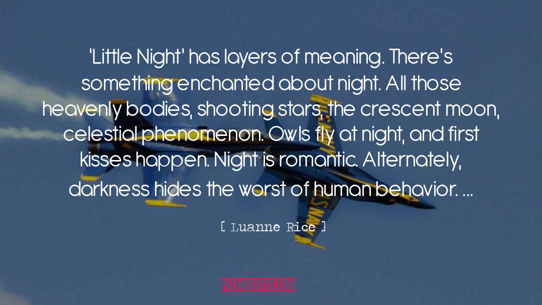 Shooting Stars quotes by Luanne Rice