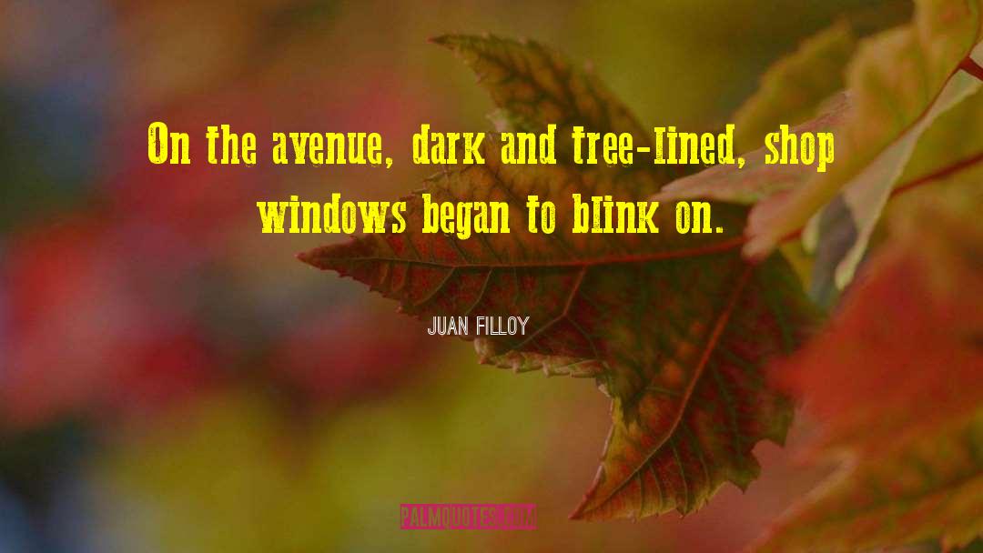 Shop Windows quotes by Juan Filloy