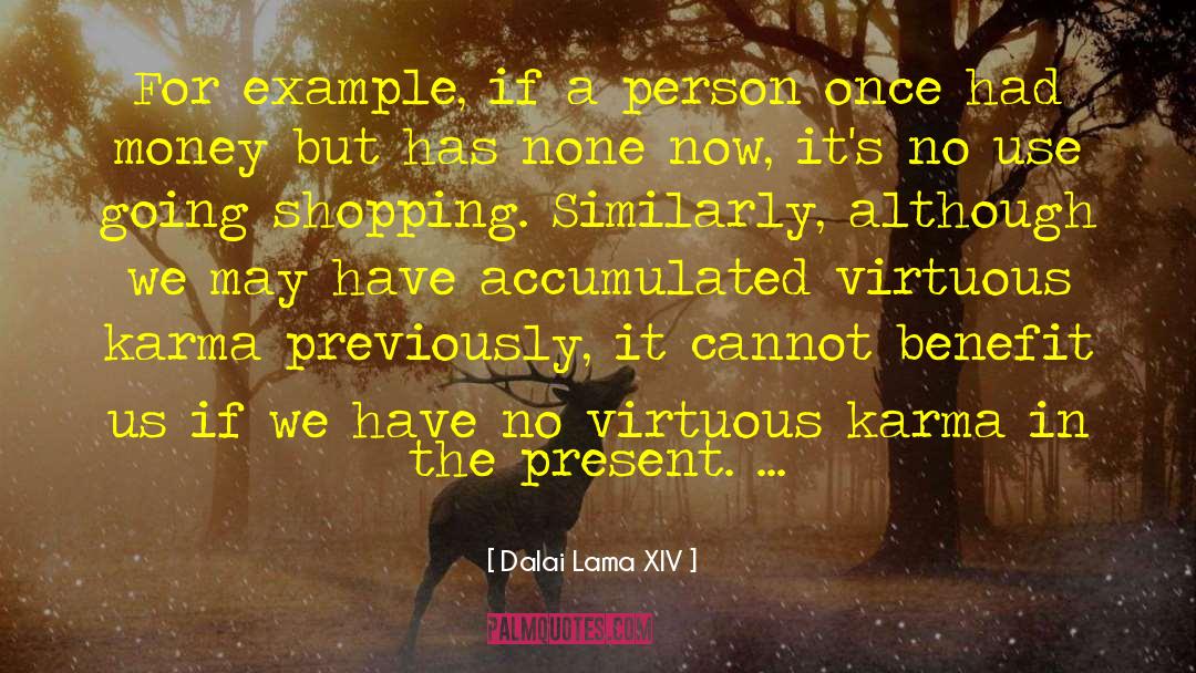 Shopping Centers quotes by Dalai Lama XIV