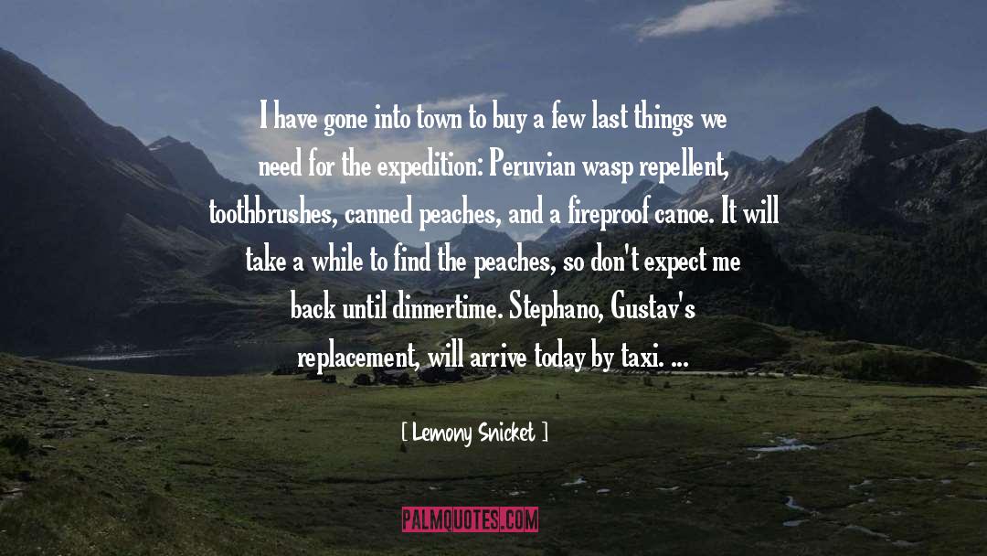 Shopping For Clothes quotes by Lemony Snicket