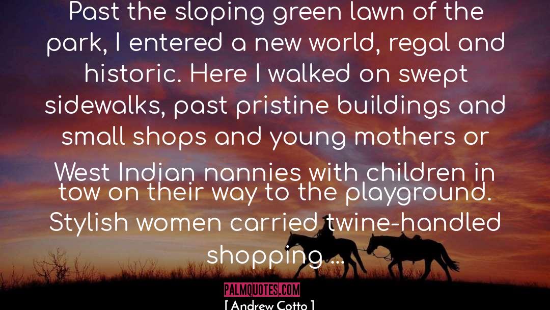 Shops quotes by Andrew Cotto