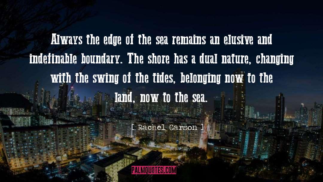 Shore quotes by Rachel Carson