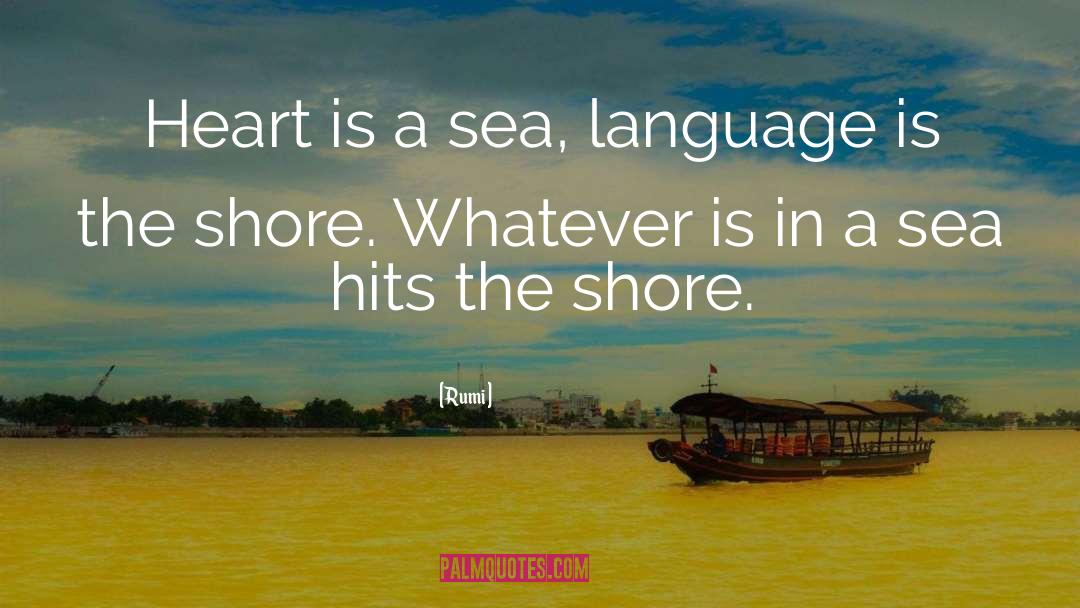 Shore quotes by Rumi