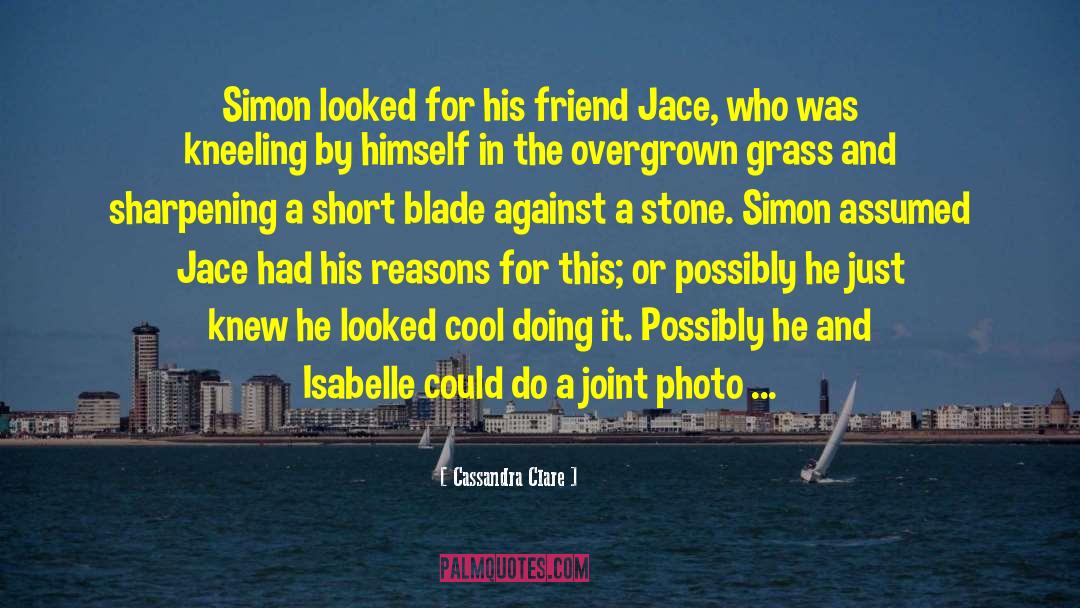 Short Cool Boy quotes by Cassandra Clare