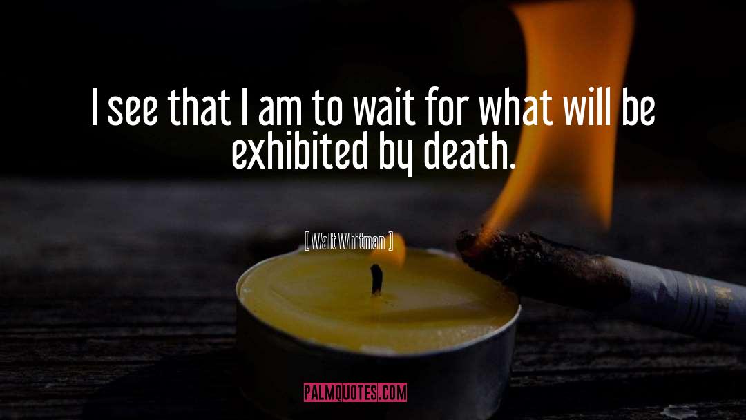 Short Death quotes by Walt Whitman