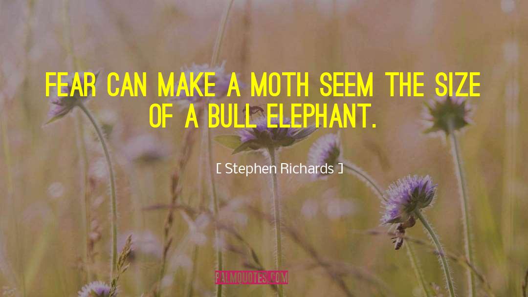 Short Elephant quotes by Stephen Richards