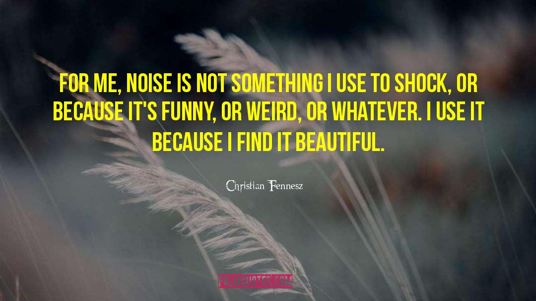 Short Funny Weird quotes by Christian Fennesz