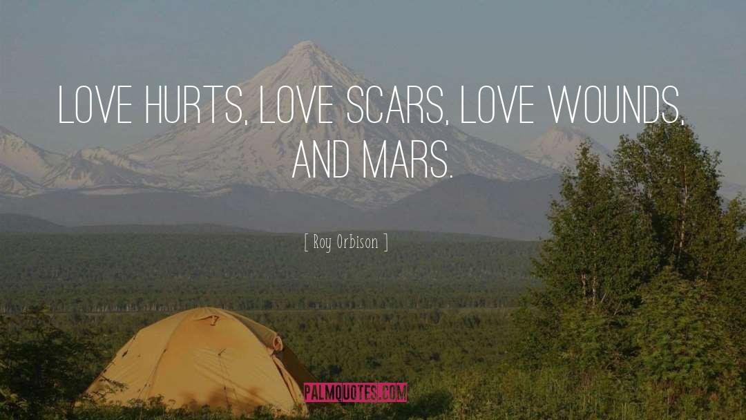 Short Love Hurts quotes by Roy Orbison