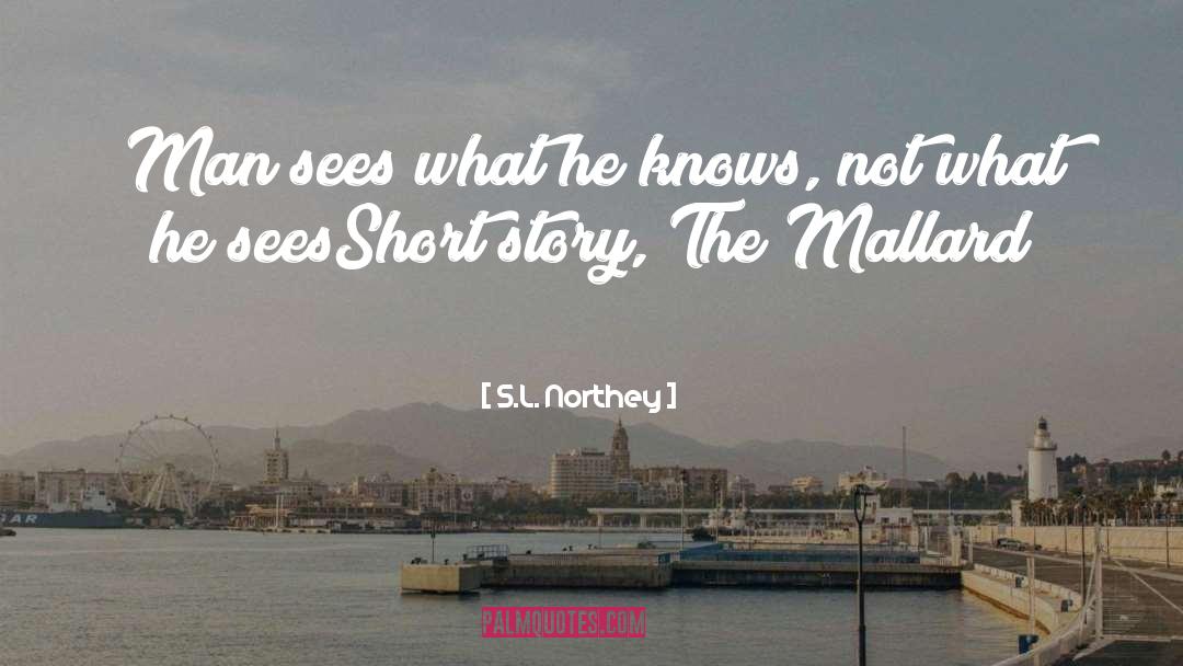 Short Movie quotes by S.L. Northey